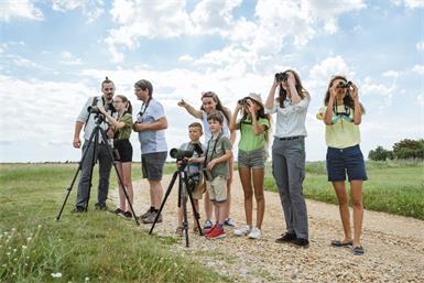 Die City Nature Challenge findet heuer bereits zum fünften Mal in der Region Neusieder See – Seewinkel statt.