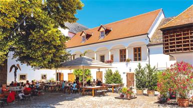 Die Csello Mühle lädt zum Konzert mit Hans Theesink und Ernst Molden sowie zum Pop'n'Blechsoud Konzert des Musikvereins Oslip.