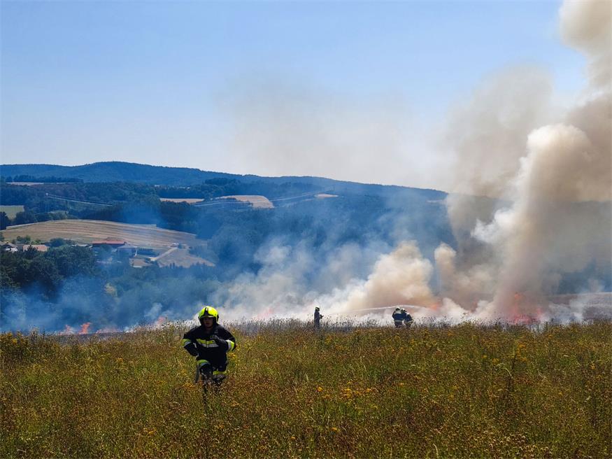 Die Feuerwehren konnten das Übergreifen der Flammen auf einen angrenzenden Wald verhindern.