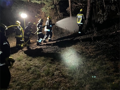 Die Feuerwehrleute brachten den Flurbrand rasch unter Kontrolle.