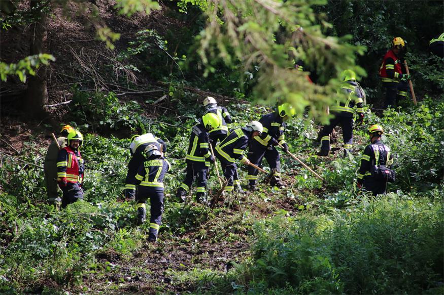 Die Feuerwehrleute legten eine Schneise durch den Wald an, um ein Ausbreiten der zum Glück nur angenommenen Flammen zu verhindern.
