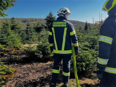 Die Feuerwehrleute schützten die Christbäume durch ihre Löschmaßnahmen.