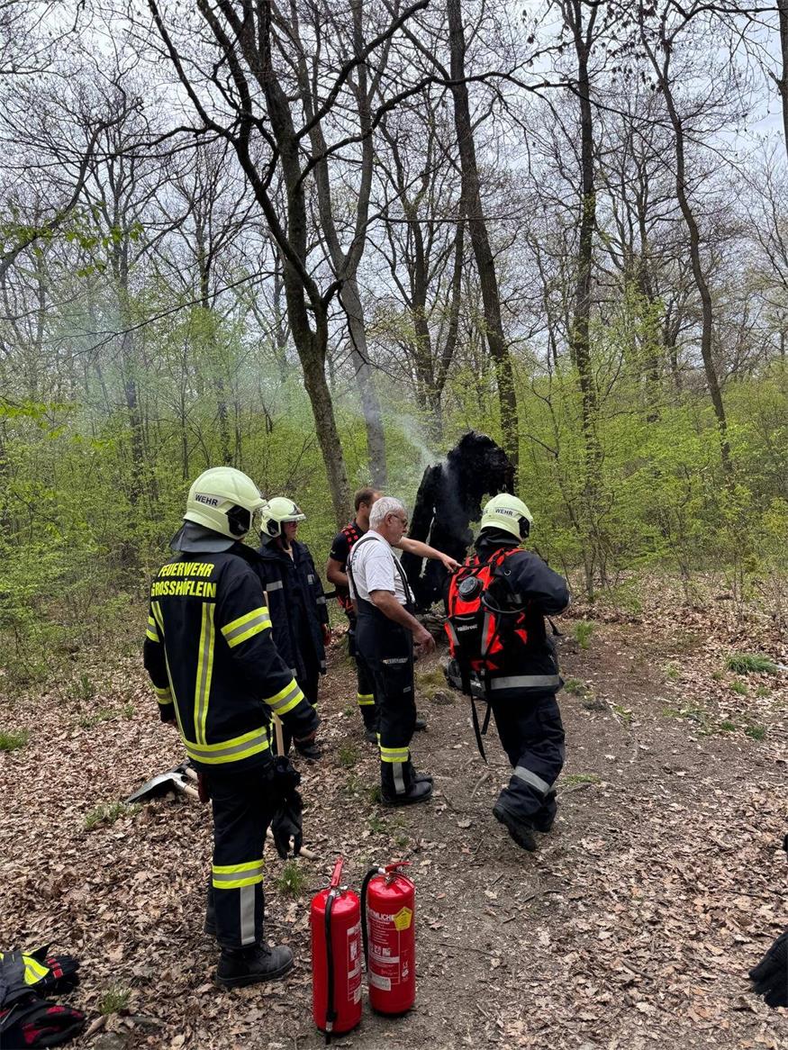 Fleißige Bienchen: Feuerwehr Großhöflein hatte einiges zu tun