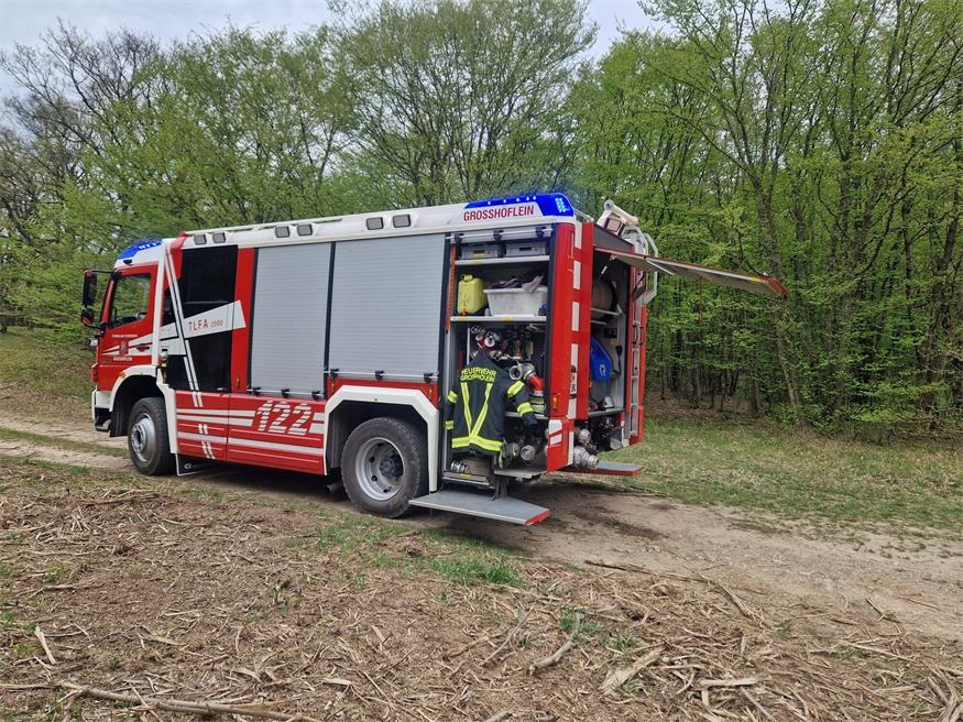 Fleißige Bienchen: Feuerwehr Großhöflein hatte einiges zu tun
