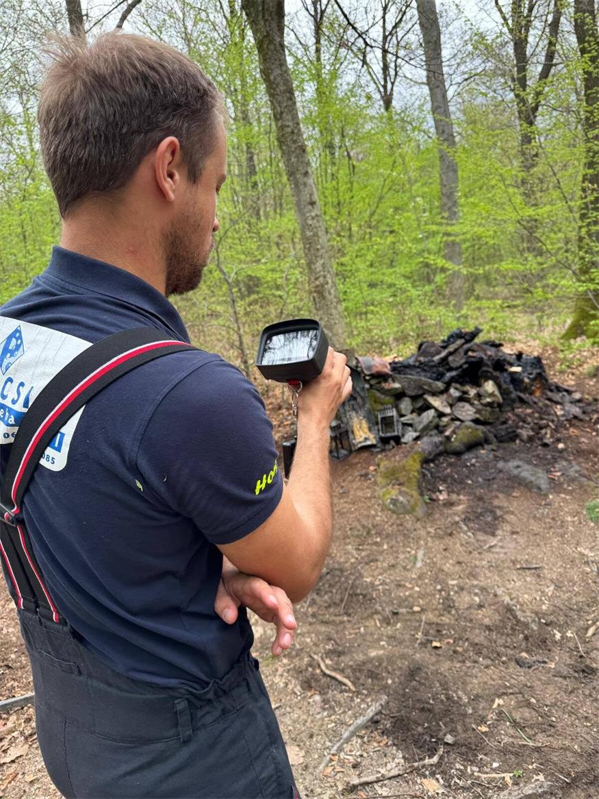 Fleißige Bienchen: Feuerwehr Großhöflein hatte einiges zu tun