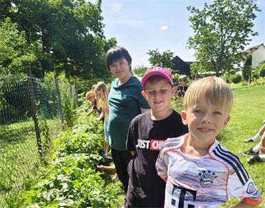 Die Kids sind mit Feuereifer bei der Sache.