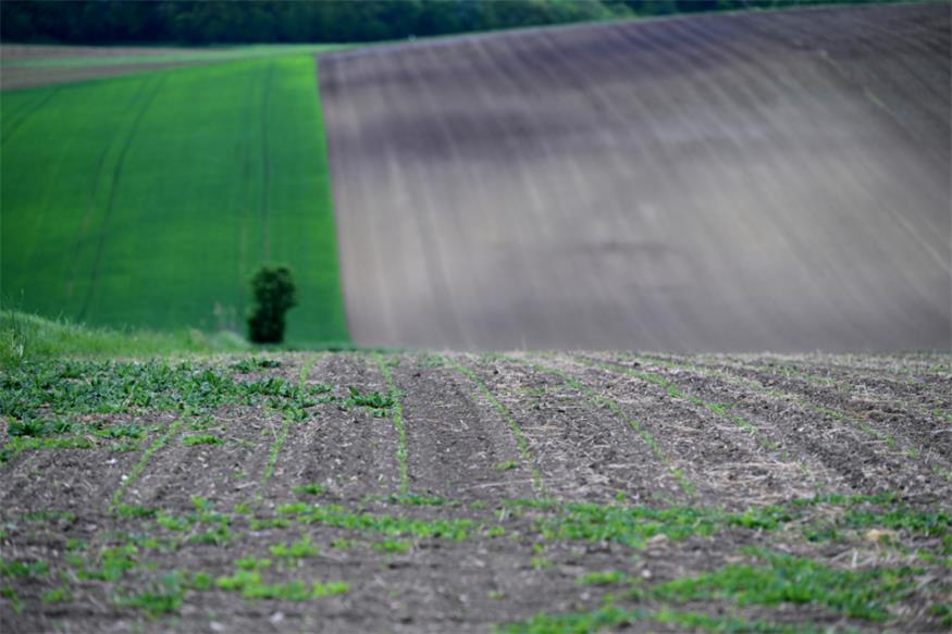 Die Landwirtschaftskammer rechnet mit "unterdurchschnittlichen Ernte"