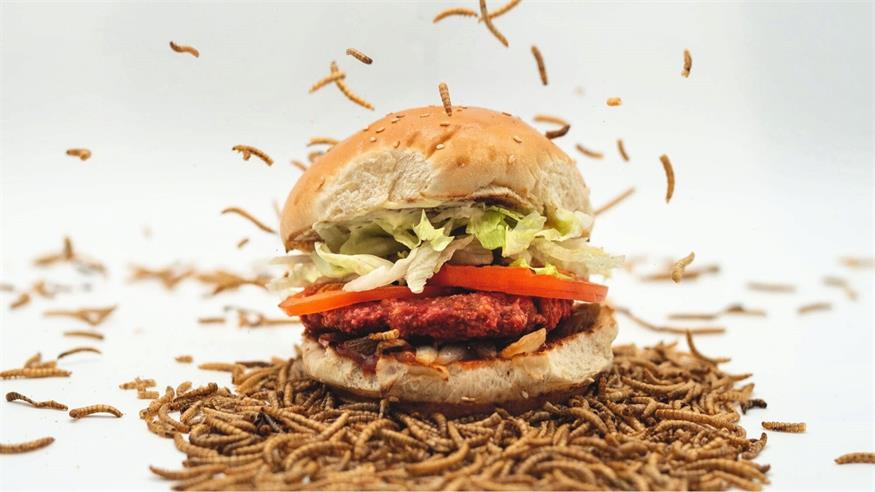 Die Rezeptur des "Wormwich" wurde in monatelanger Entwicklungsarbeit perfektioniert.