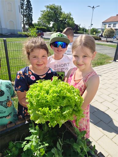 Die Schüler und Schülerinnen der VS Neuberg bei der Gartenarbeit.