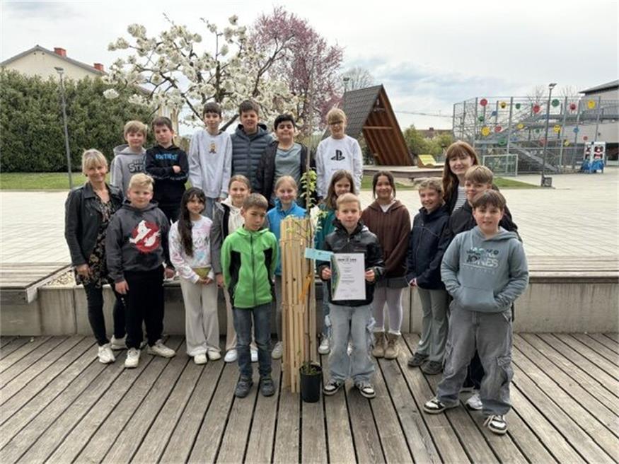 Die Schülerinnen und Schüler der Volksschule freuten sich über die Elsbeere des ÖKOLOG-Netzwerkes. 