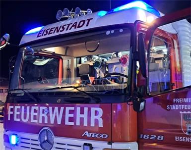 Die Stadtfeuerwehr war mit 20 Einsatzkräften in der Justizanstalt dabei.