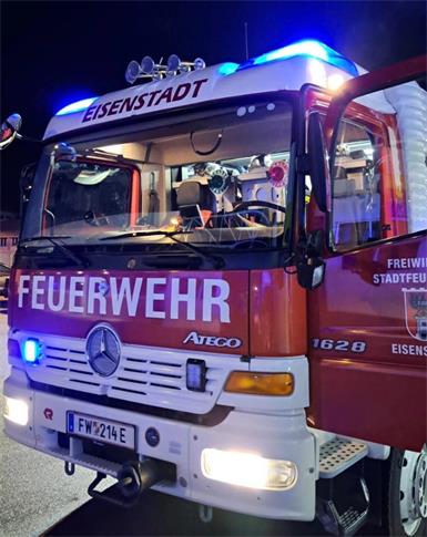 Die Stadtfeuerwehr war mit 20 Einsatzkräften in der Justizanstalt im Einsatz.