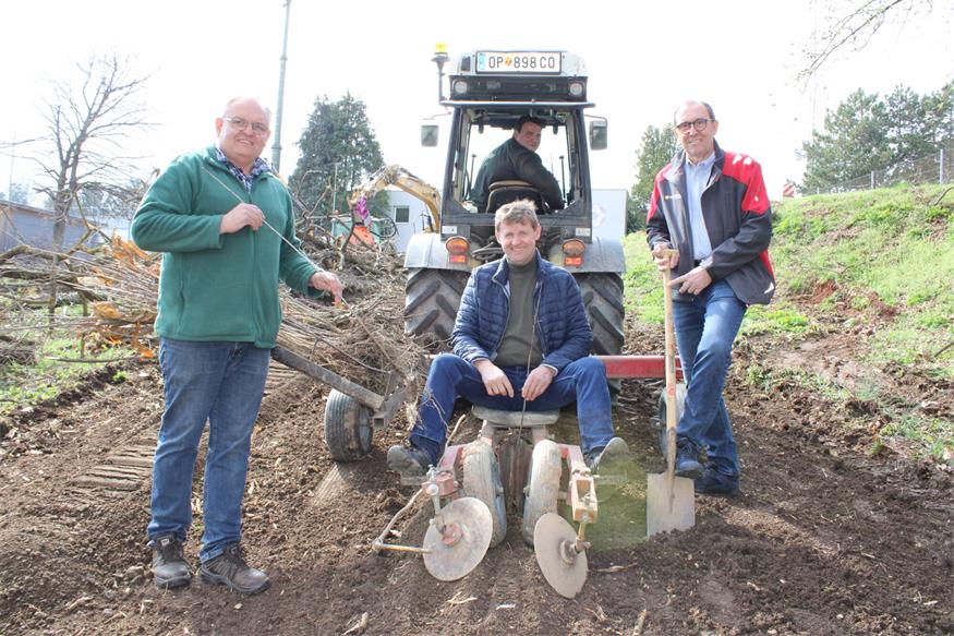 Die Stadtgemeinde wird anlässlich des Doppeljubiläums 50 zusätzliche Bäume pflanzen - im Bild Bürgermeister Johann Heisz und Vize Nikolaus Dominkovits am Fenyös, wo im Vorjahr nach einer Rodung gemeinsam mit dem Maschinenring neue Bäumchen gepflanzt worden waren.