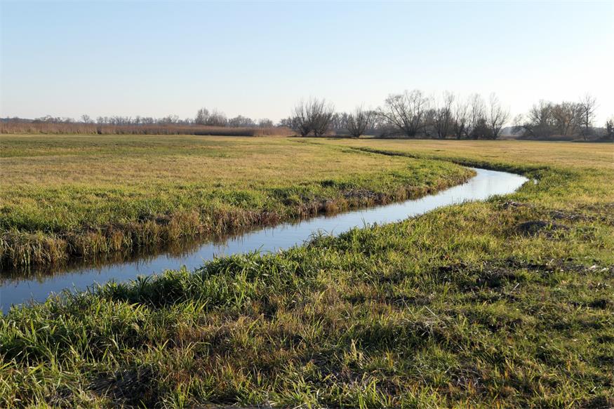 Die Wassergenossenschaft Gols-Neusiedl soll in die Verwaltung der Gemeinde Gols übergehen.