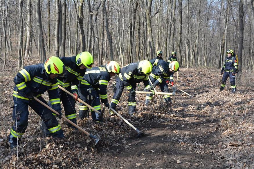 Direkt im Gelände übten die Feuerwehrleute die Brandbekämpfung.