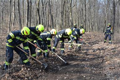 Direkt im Gelände übten die Feuerwehrleute die Brandbekämpfung.