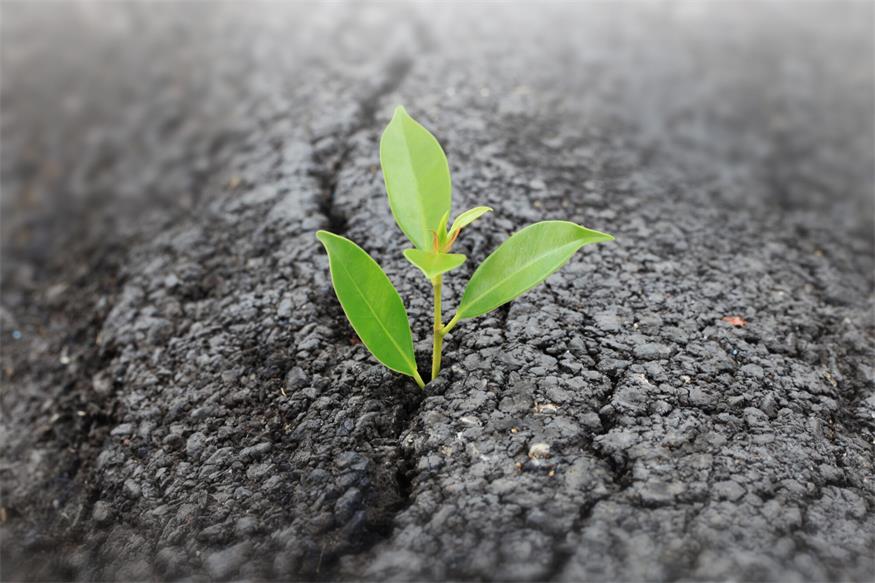 Durch Entsiegelung können Hitzeinseln entschärft werden. Gerade jetzt merkt man, wie sehr sich der Asphalt aufheizen kann.