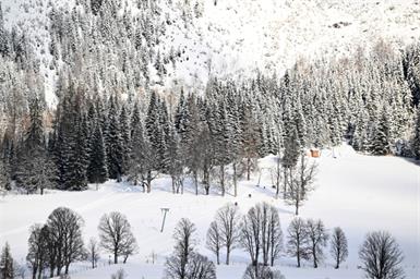 Ein Skifahrer lag in Tirol reglos neben einer Piste im Wald