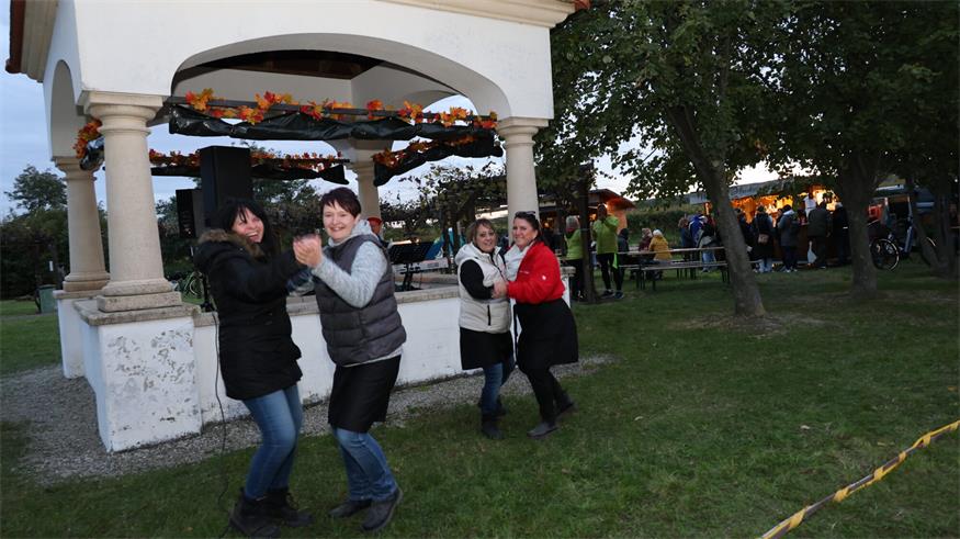 Die Gans war los in Mörbisch
