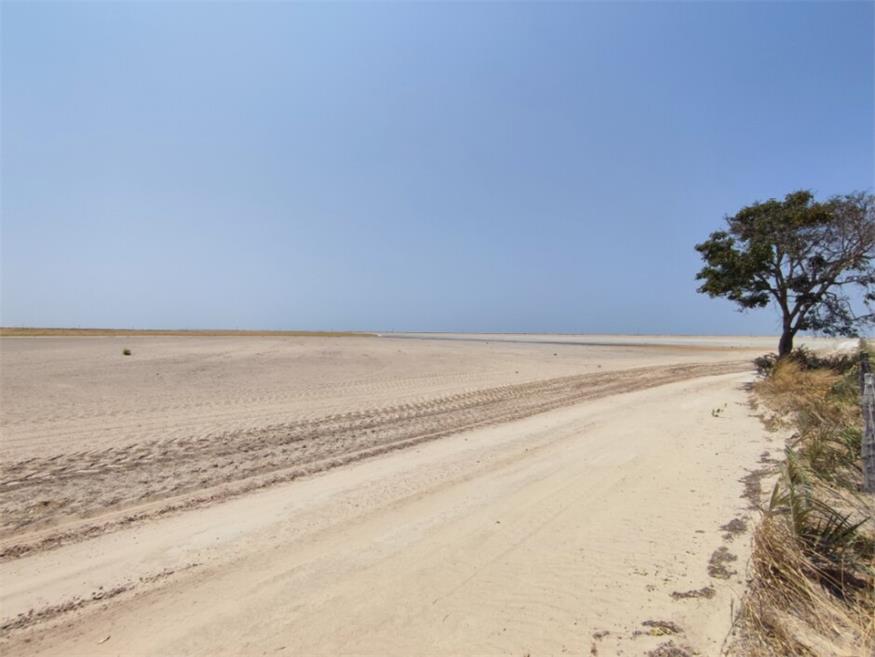 Ein Teil der Ökoregion Cerrado nach der Entrodung