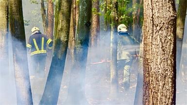 Ein Waldbrand forderte am Sonntagnachmittag in Unterpullendorf insgesamt 15 Feuerwehren.