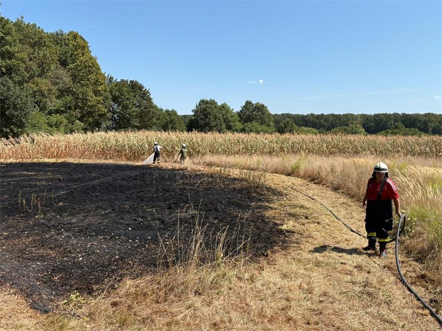 Ein bei Mäharbeiten ausgebrochener Flurbrand in Heiligenbrunn drohte auf Wald und Felder überzugreifen.