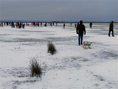 Eisläufer und Spaziergänger tummelten sich am Deikönigstag auf der zugefrorenen Salzlacke bei Apetlon.