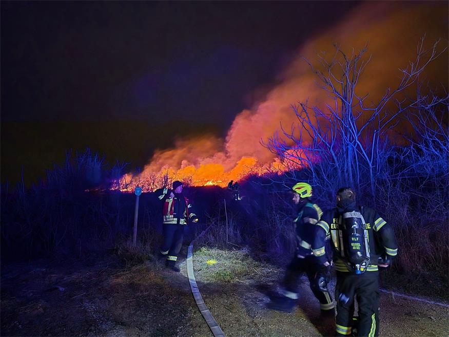 Erster Einsatz des noch jungen Jahres für die Feuerwehren Neusiedl, Weiden und Jois.