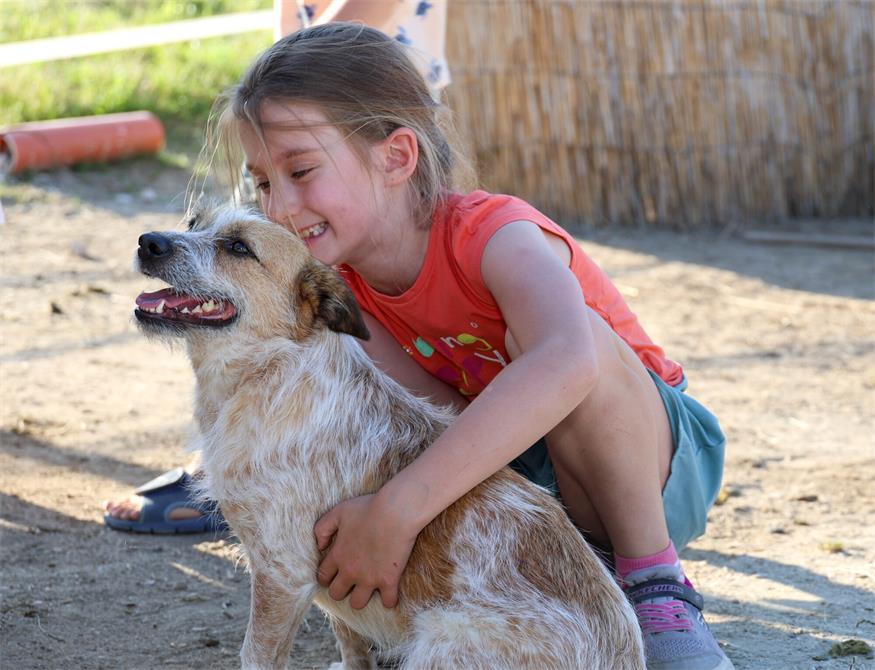 „Herz und Hufe“ schenkt Sommerzauber