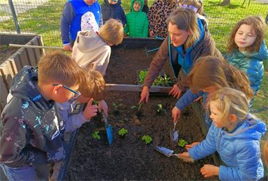 Frühjahrszeit ist Gartenzeit. Nachdem die Volksschule Neuberg im Vorjahr mit dem Garteln begonnen hat, geht man nun in die zweite Gartensaison.