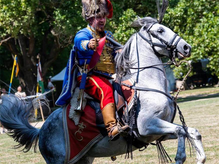 Für ihre Reitkämpfe setzten die Esterházy Husaren aus Loretto auf spanische Andalusier.