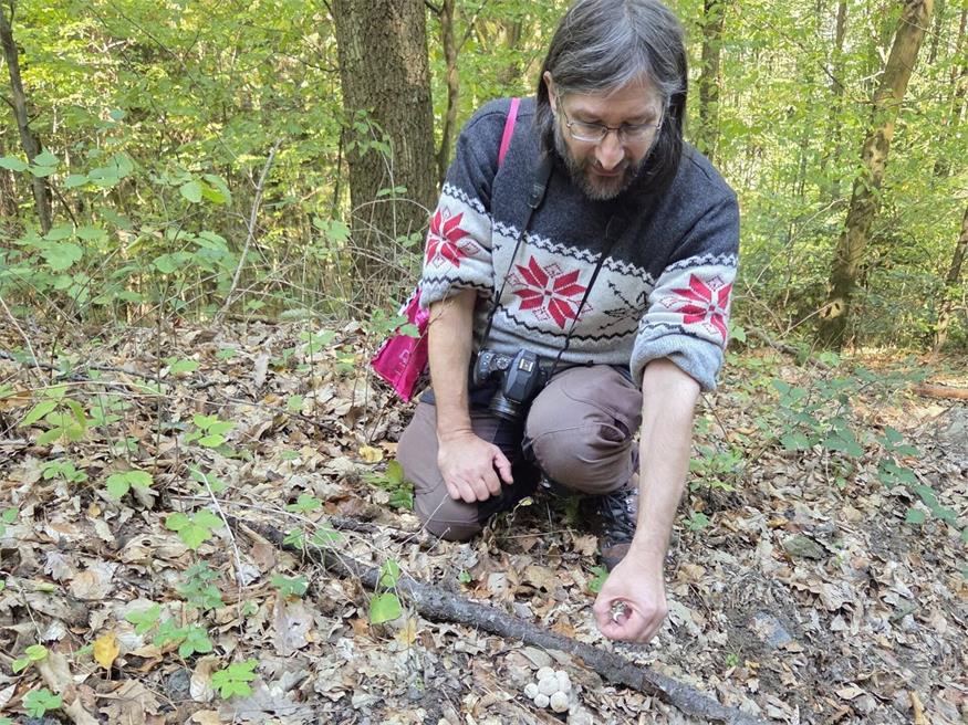 Gerhard Koller bei einer Pilz-Führung im Wald bei Großpetersdorf.