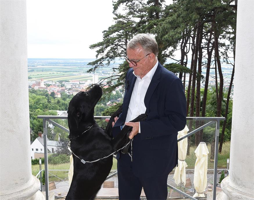 Hans Niessl mit „Keks“. Der dreijährige Hund und der Alt-Landeshauptmann sind ein Herz und eine Seele - auch beim BVZ-Interview auf der „Alm“ in Eisenstadt.