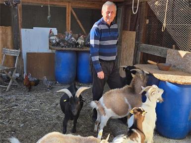 Herbert Schedl wird sich im Polit-Ruhestand vermehrt um den familiären „Tierpark“ kümmern, dem unter anderem einige Zwergziegen angehören.