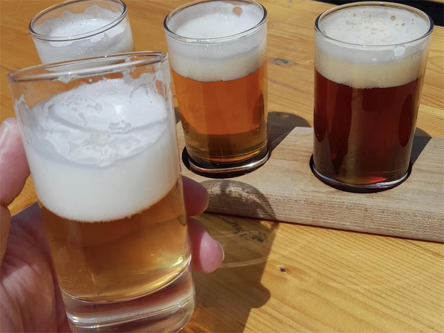 Hopfen ist eine essenzielle Zutat beim Bierbrauen und verleiht Aroma und Geschmackscharakteristik. 