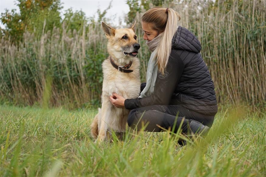 Hundetrainerin Babsi Fink mit Baghira, einer deutschen Schäferhündin und ihre treue Begleiterin über viele Jahre hinweg: „Sie hat mich geprägt und wahrscheinlich am meisten gefordert, um eine gute Hundetrainerin zu werden“, sagt Fink.