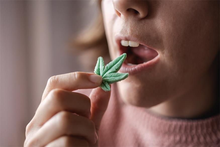 Im Symbolbild hat sich das Naschzeug gar nicht getarnt ... „Edibles“ werden oft aber auch bewusst „getarnt“.