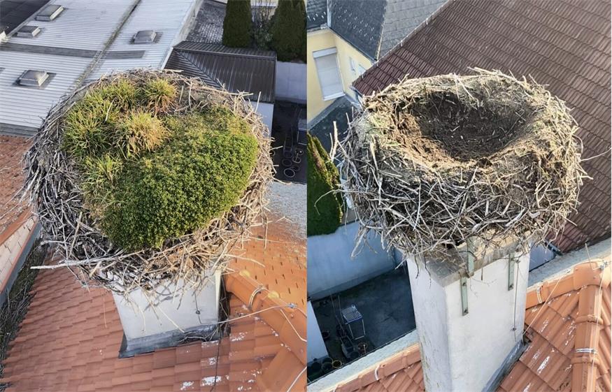 Im Vergleich von vorher zu nachher zeigt sich das gelungene Ergebnis deutlich. Jetzt gilt es nur noch die Heimkunft abzuwarten.