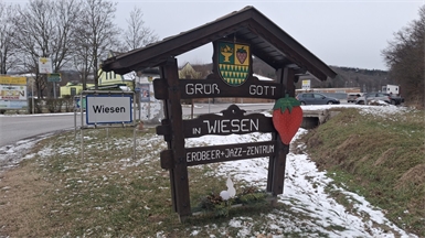 Im heurigen Jahrbegehen neun Wiesener Vereine und Institutionen ein rundes Jubiläum. 