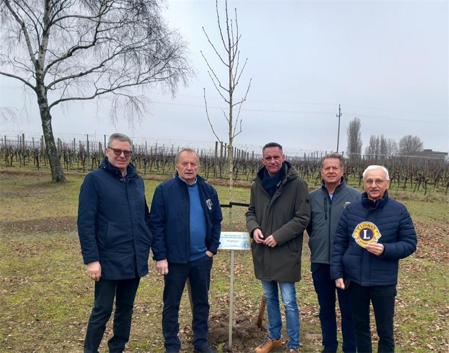 In Deutschkreutz pflanzten Wolfgang Reisner, Paul Bauer, Bürgermeister Andreas Kacsits, Josef Jarosch und Stefan Grosz den Jubiläumsbaum.