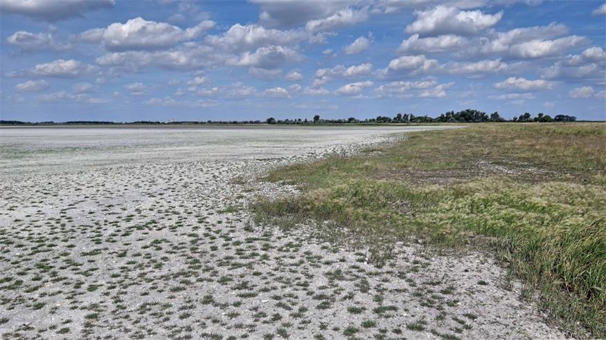 In vielen Sodalacken wie hier in der Langen Lacke herrscht eine dramatische Wasserarmut.