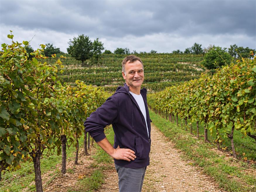 Josef Umathum. Der Frauenkirchner Winzer setzt auf Vitiforst, also Bäume und Sträucher im Weingarten.