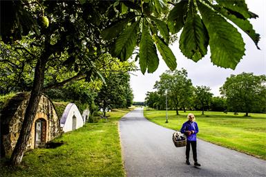 Kellerviertel in Edelstal, fotografiert von Manfred Horvath im Rahmen des Projekts "Natur in Sicht".
