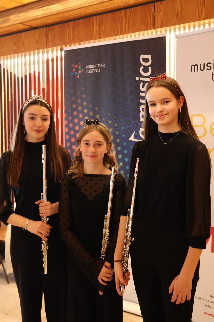 Bezirk Neusiedl: Diese 15 Musiktalente holten Landessiege
