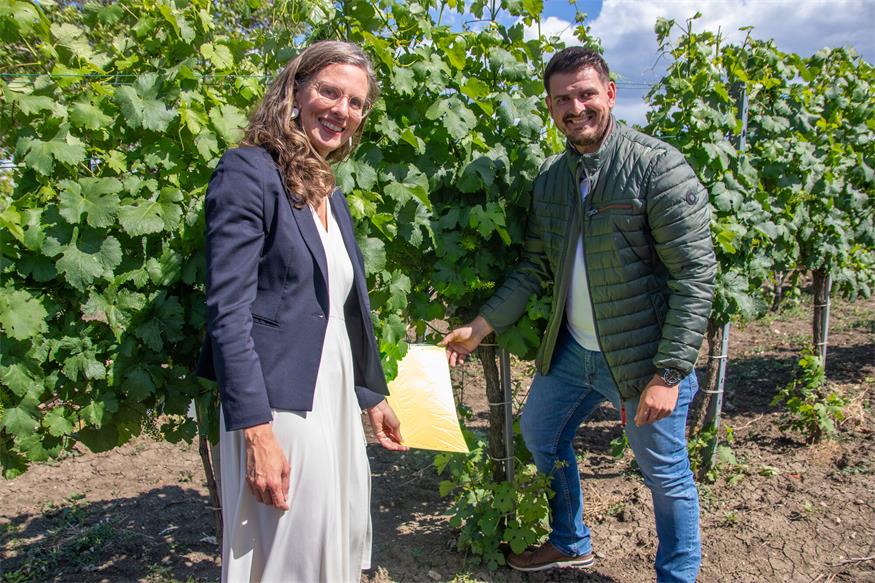 Landeshauptmann-Stellvertreterin Anja Haider-Wallner mit Martin Tobler vom Pflanzenschutzdienst Burgenland.<?ZE?><?ZE?>