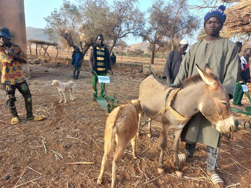 Landwirtschaft wird in Burkina Faso in einfachster Form betrieben.