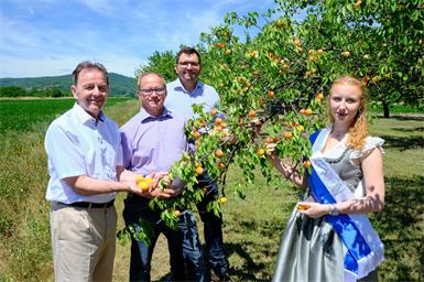 Landwirtschaftskammer-Präsident Nikolaus Berlakovich, Obmann Kittseer Marille Josef Maurovich, Martin Hejret und Marillenkönigin Leonie I.