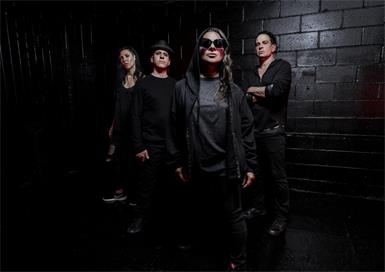 Life of Agony hätten in Wiesen auftreten sollen.