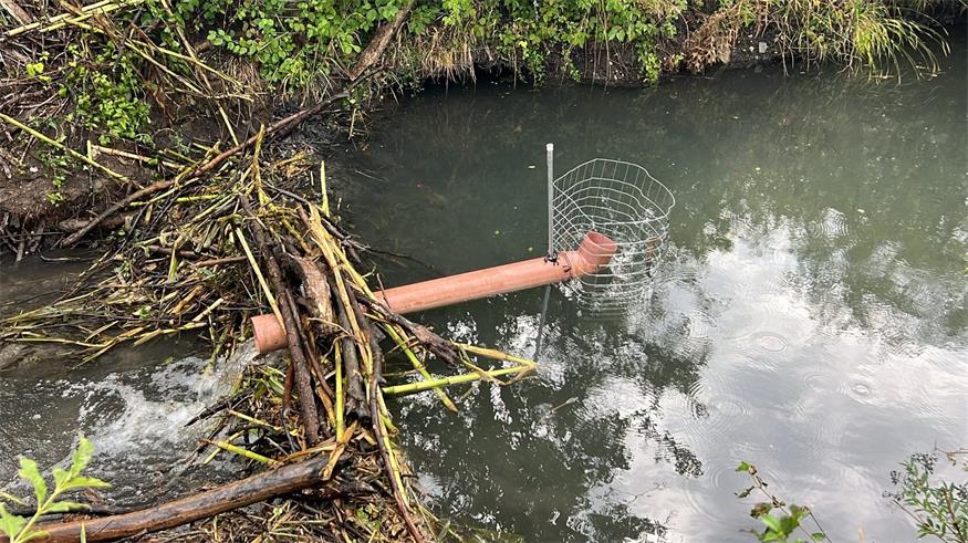 Lösung. Um auch bei niedrigem Wasserstand den Durchfluss durch Biberdämme zu ermöglichen, wurden mit Rohren Drainagen durch diese gelegt - gesichert mit Drahtkörben, um ein Verstopfen zu verhindern.