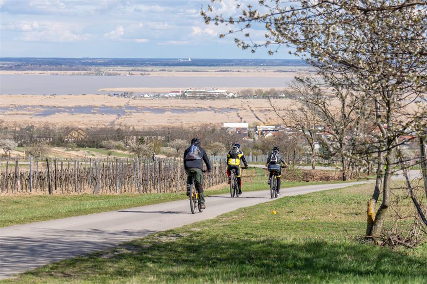 „Losradeln“ am Neusiedler See. Genuss, Musik und Spaß für die ganze Familie.